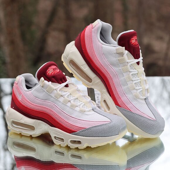 Nike Air Max 95 Anatomy of Air